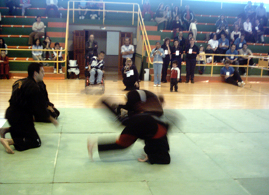 Exhibicin de Hapkido